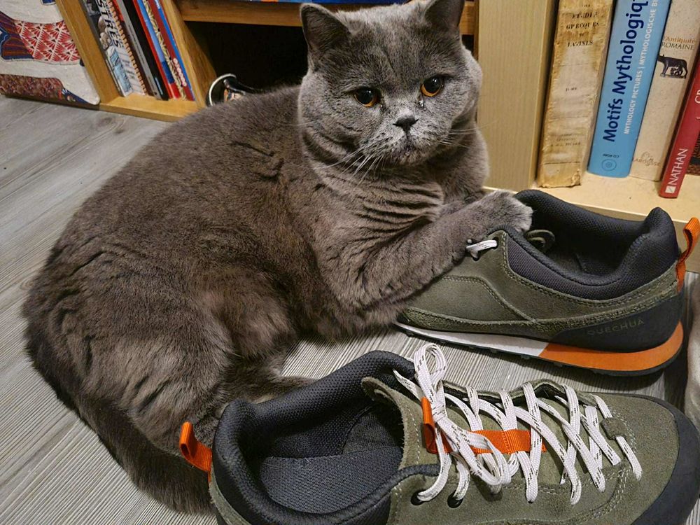 Yuki, una belleza con compostura inglesa