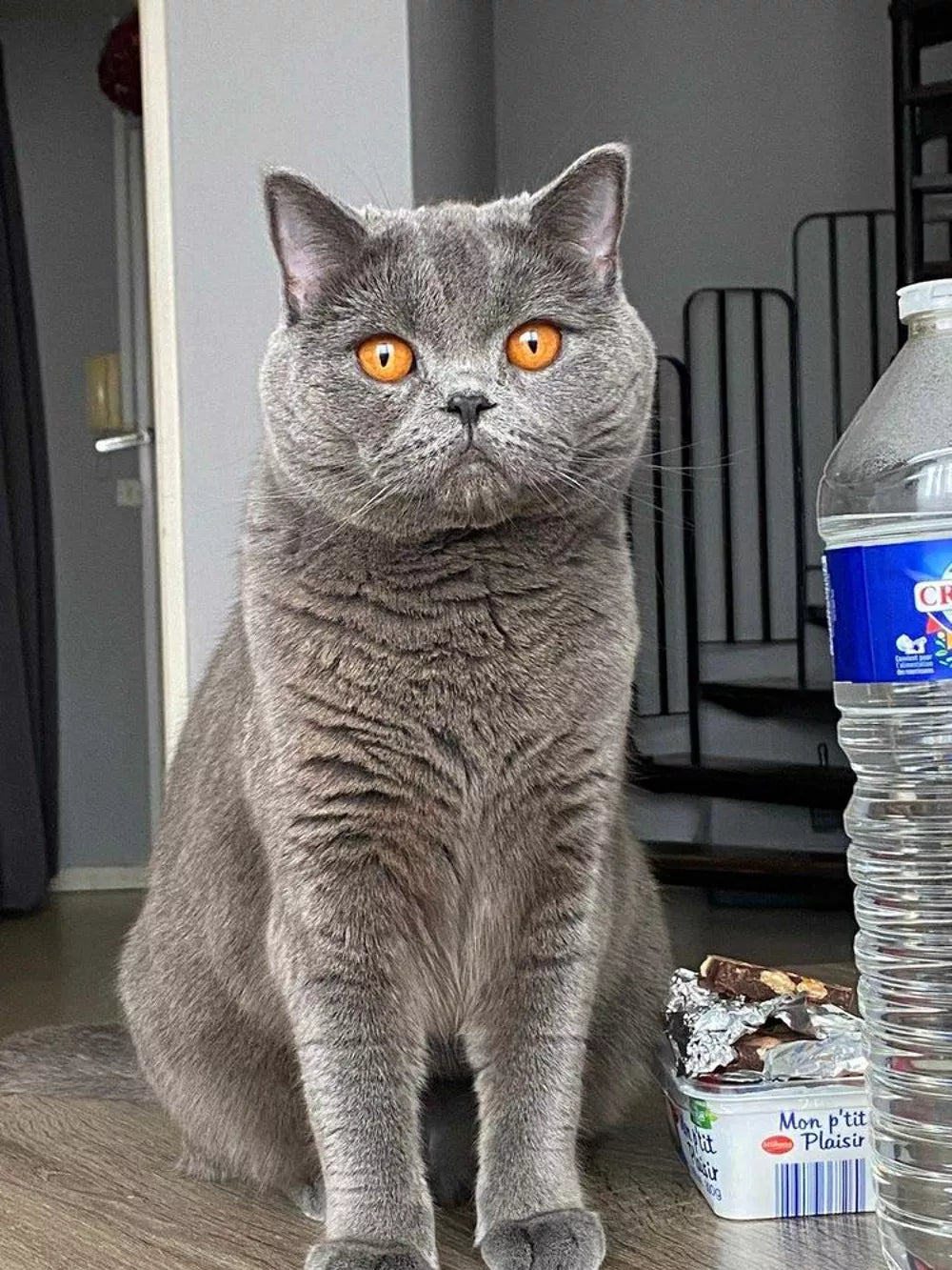 Yuki, una belleza con compostura inglesa