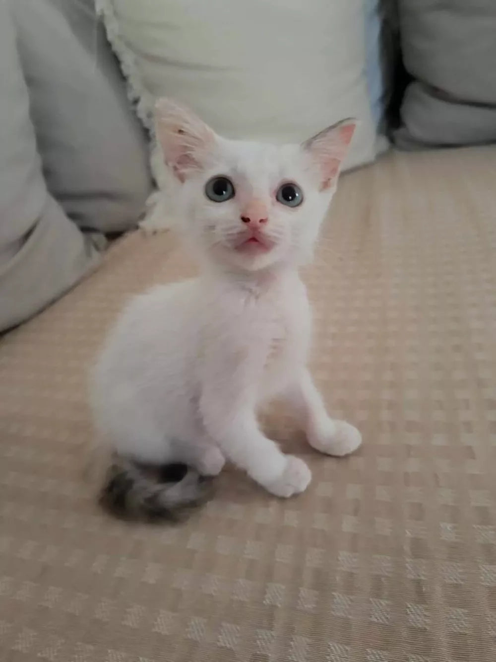 Lily Rose, la carita